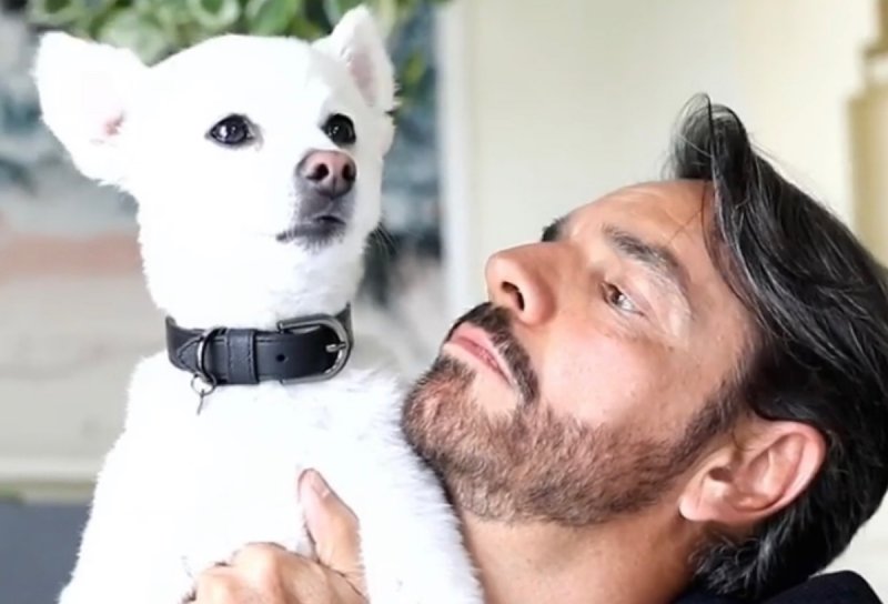 Propinan golpiza a Eugenio Derbez por defender a perritos que maltrataba su amo.