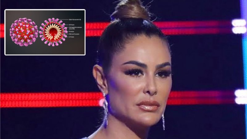 Ninel Conde comparte los resultados de sus exámenes de coronavirus