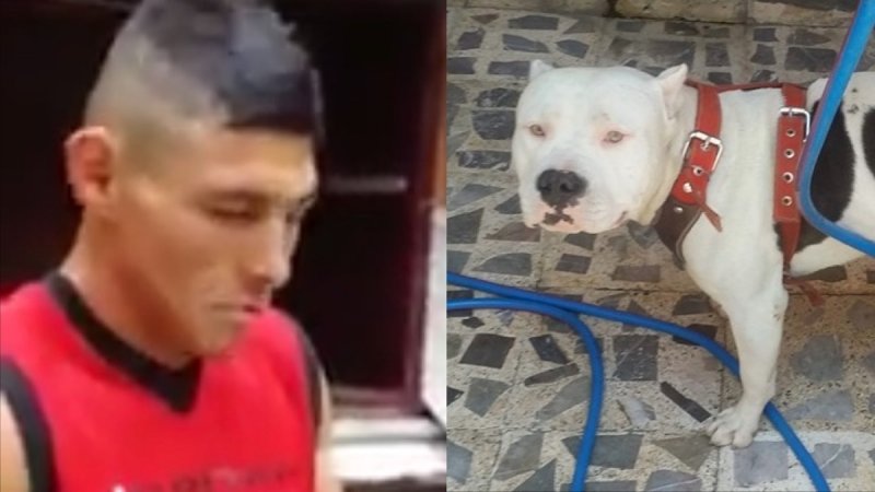 Hombre que golpeó brutalmente a perro amenazó de muerte a su prima por denunciarlo.