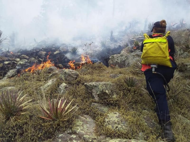 Gobernador a penas se entera de incendio luego de 27 días que llevaba devastando bosques.