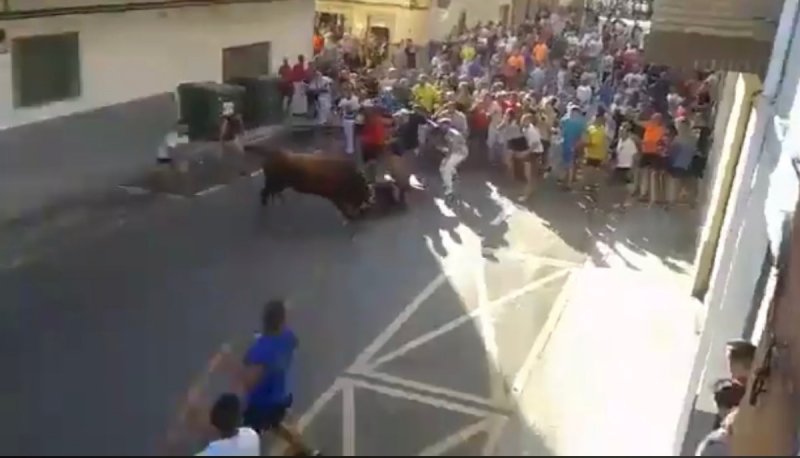 VIDEO: Toro quita la vida a hombre en corrida callejera de España. y