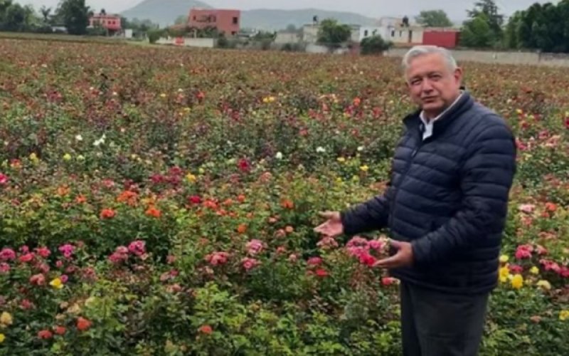 “Esto es México, esto es vida”, asegura AMLO en bello rosal