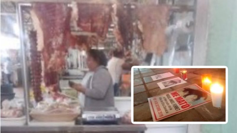 Carnicero mata a perrita por morder un pedazo de carne y causa gran indignación.