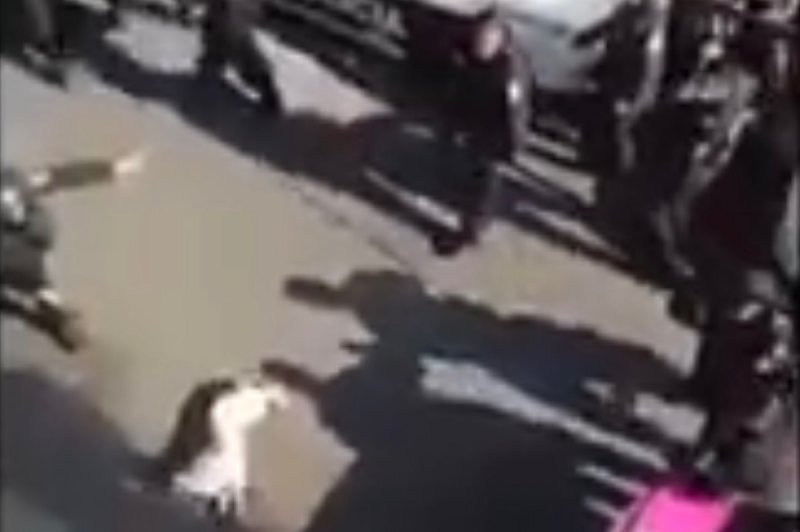 Sujetos lanzan su pitbull contra policías, los ataca y uniformados le dan muerte y