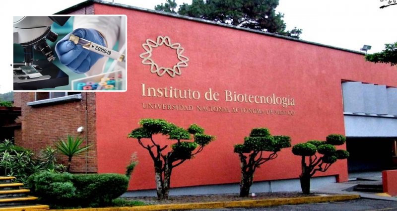 Avanza VACUNA de la UNAM contra CORONAVIRUS