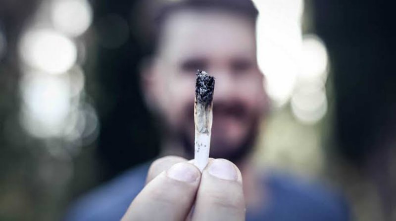 Revela estudio que hombres que consumen marihuana producen semen de mejor calidad.