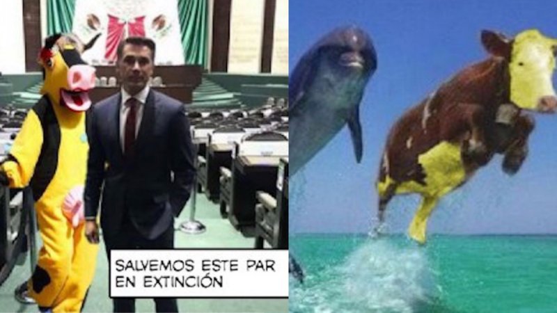 Los mejores memes de “La Vaquita Amarilla” de Sergio Mayer. 