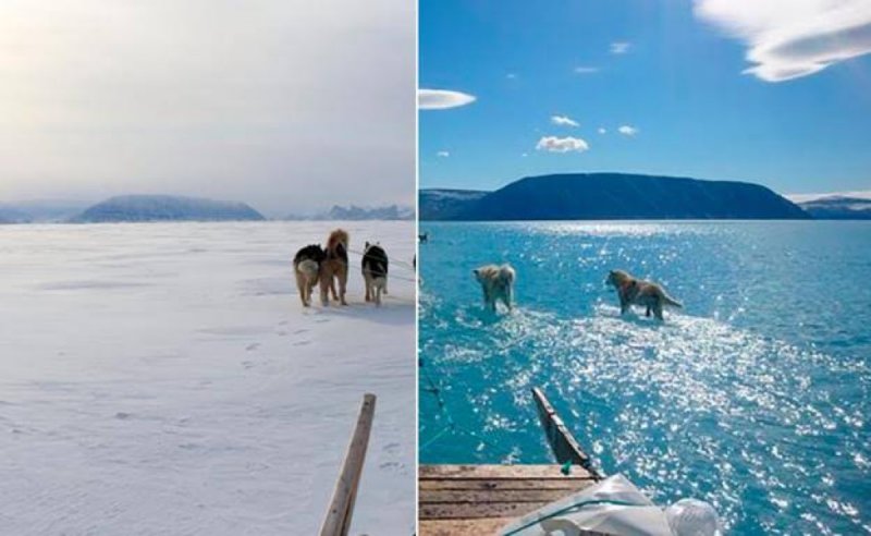 Groenlandia perdió más de 50% de su hielo en un solo día. 