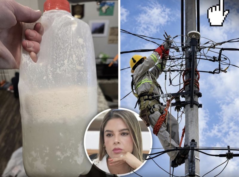 Proponen que si se te va la luz y se te echa a perder la comida, CFE te la pague 