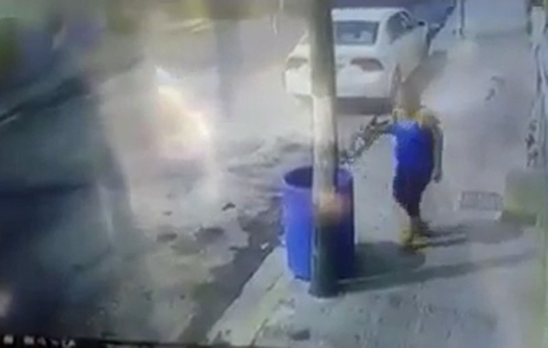 Indigna video de mujer tirando a un bote de basura a un perrito en Monterrey.