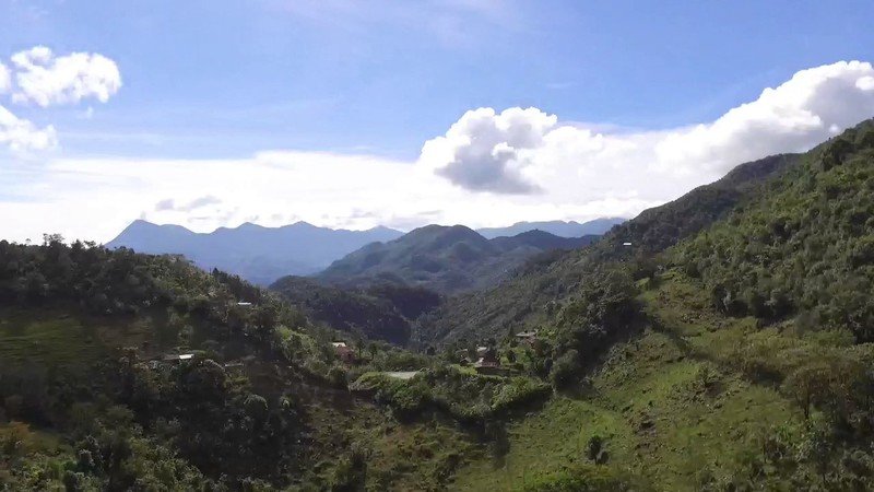 Científicos de EU mapean la Sierra Mazateca; su estudio pasó desapercibido por 50 años