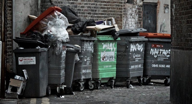 Arrestan a mujer por tirar siete cachorros a la basura (VIDEO)