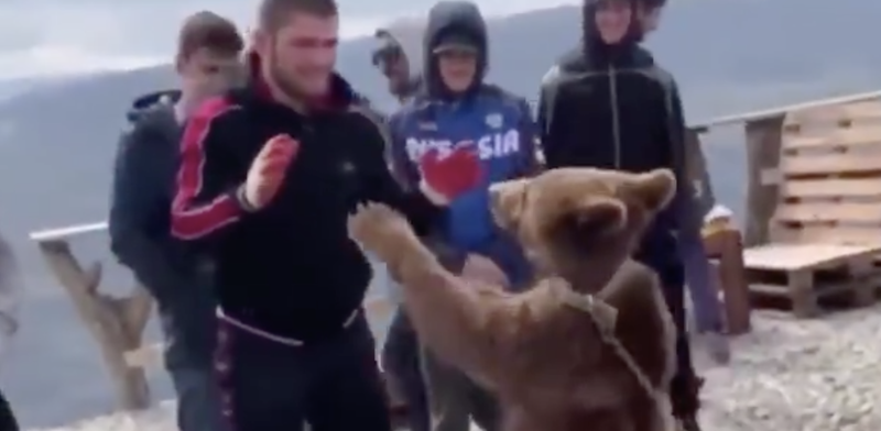 Peleador de la UFC y amigos agreden a oso bebé atado a una cadena.