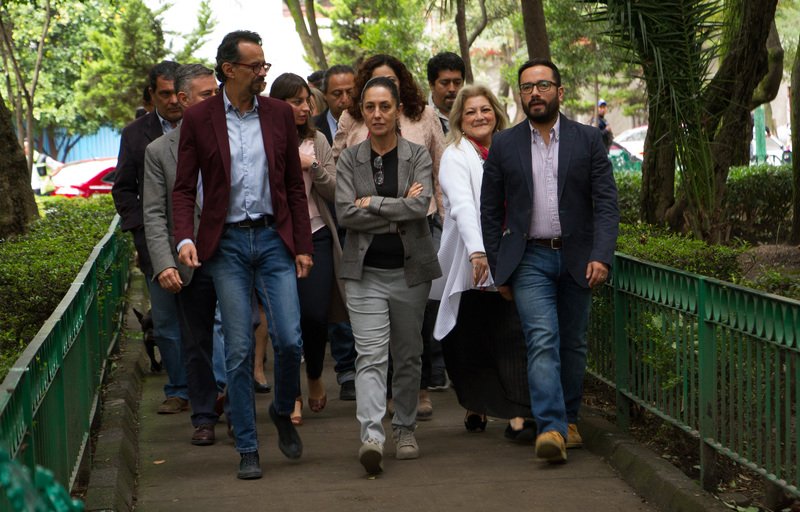 Irán a la cárcel aquellos que talen ilegalmente árboles en la CDMX: Sheinbaum