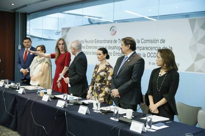 OCDE no puede dictarle a México lo que debe hacer, nosotros decidiremos