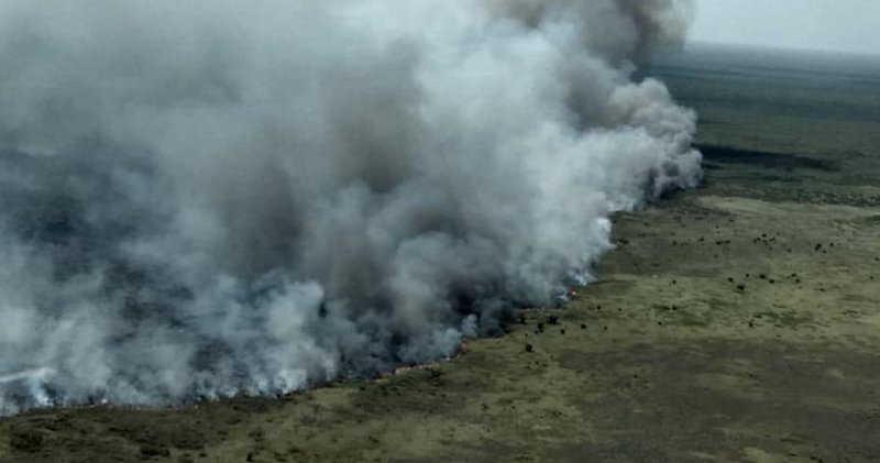 Incendios consumen más de 5,000 hectáreas de selva en la Reserva de la Biósfera de Sian Ka’an