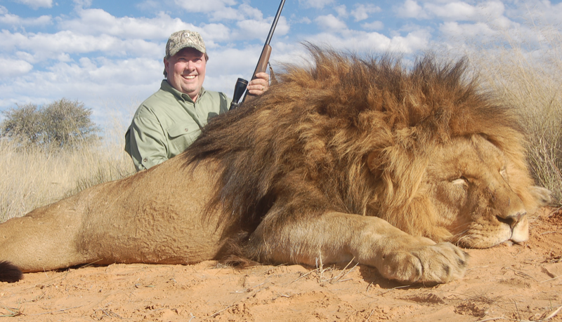 Empresa de safari genera indignación tras lanzar polémica oferta de 2x1 en caza de leones. 