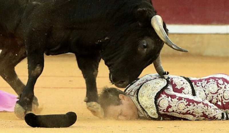 Torero Mariano De La Viña está muy grave tras brutal cornada; el toro le arrancó la femoral (VIDEO)