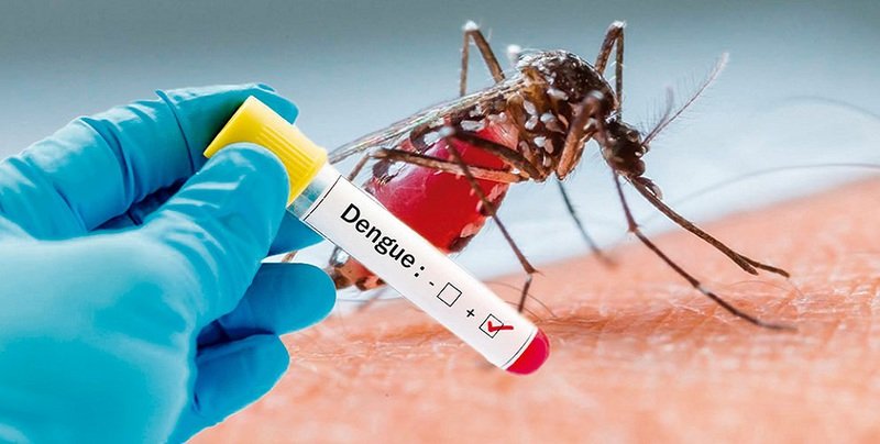 #ÚltimaHora: Detectan primer caso de Dengue por transmisión sexual en España. 