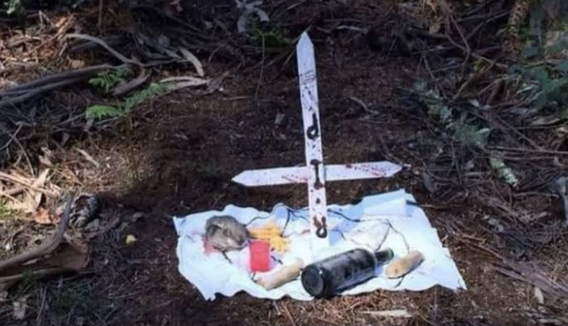 Encuentran los restos de un bebé que fue víctima de un ritual satánico en Xometla; hay 6 detenidos.