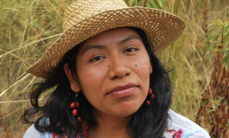 Reportan como desaparecida a ambientalista que denunció explotación de recursos en la Mixteca