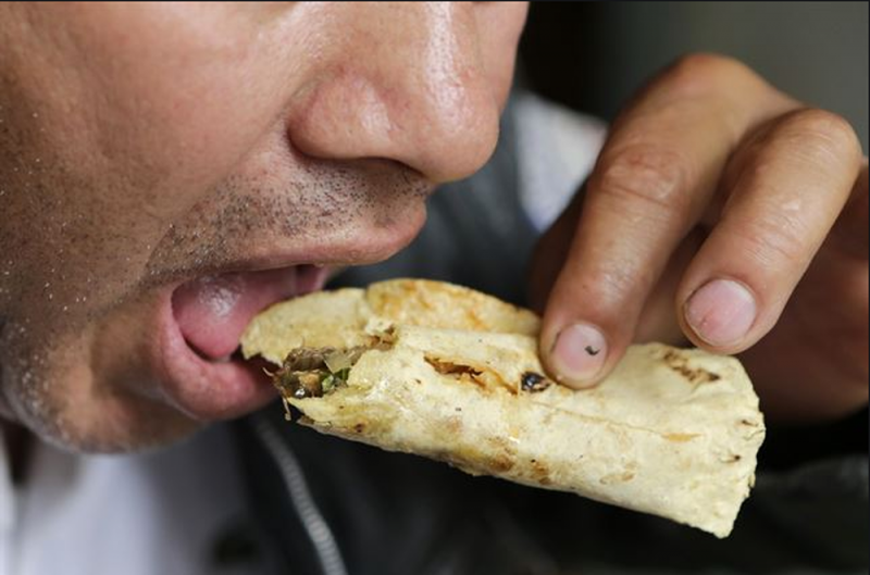 Estudiantes de la UNAM crean tortillas que no engordan