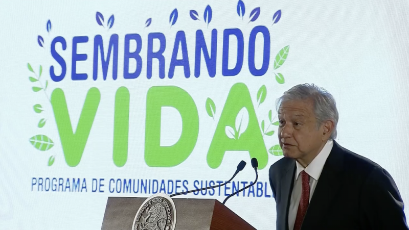 Programa Sembrando Vidas de AMLO, se la juega con los campesinos de Guerrero. 