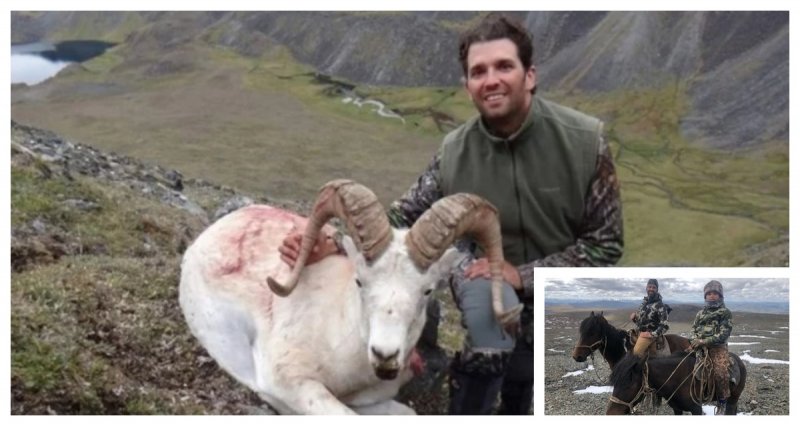 Donald Trump Jr. Mata oveja en peligro de extinción