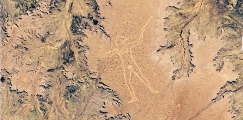 NASA difunde nueva foto del Hombre de Marree