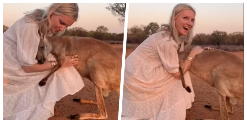 Conmovedor abrazo de un canguro a rescatistas en Autralia