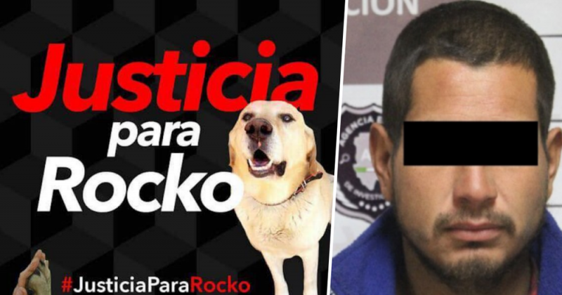 Dan prisión preventiva a sujeto que se metió a una casa y asesinó a cuchillazos a Labrador