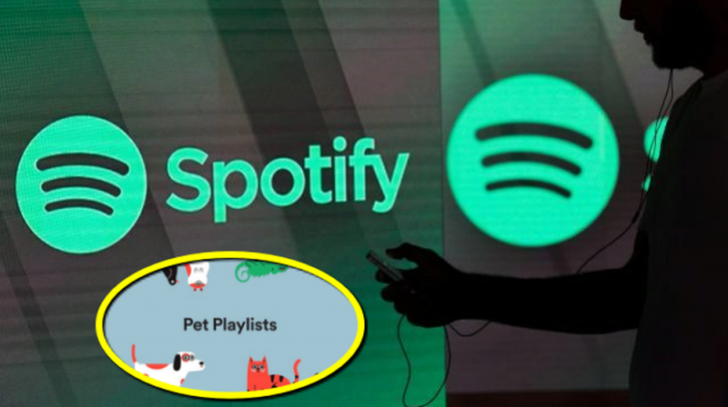 Spotify anuncia creación de Playlist para perritos que se quedan solos en casa