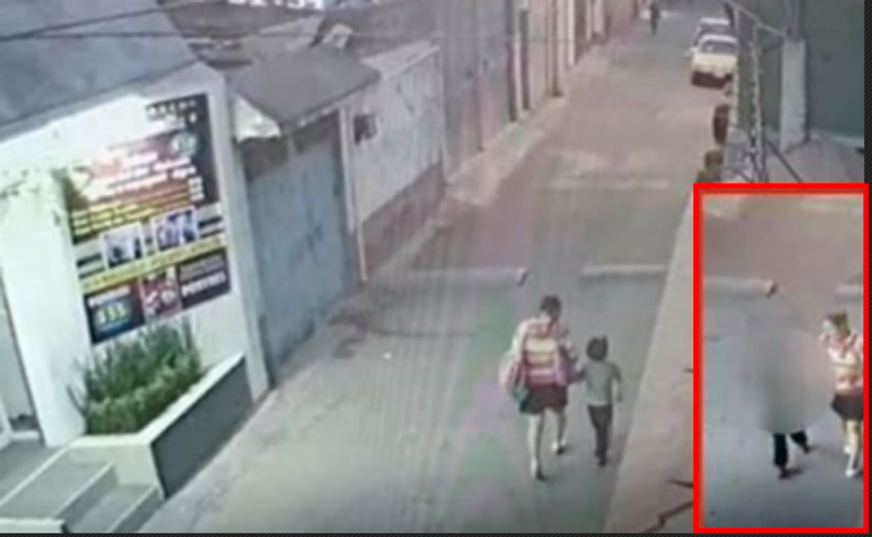 Aparte de asesinarla, le sacaron los órganos vitales a Fátima