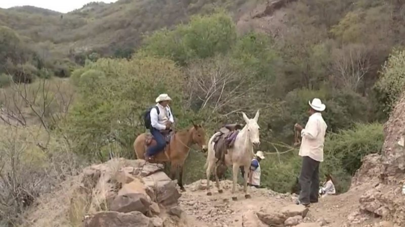 Hasta en burro salen a realizar el censo encuestadores del INEGI