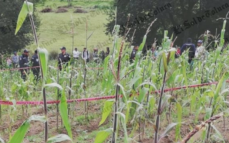Tío abusa sexualmente de menor de tres años y la deja morir en campo de cultivo