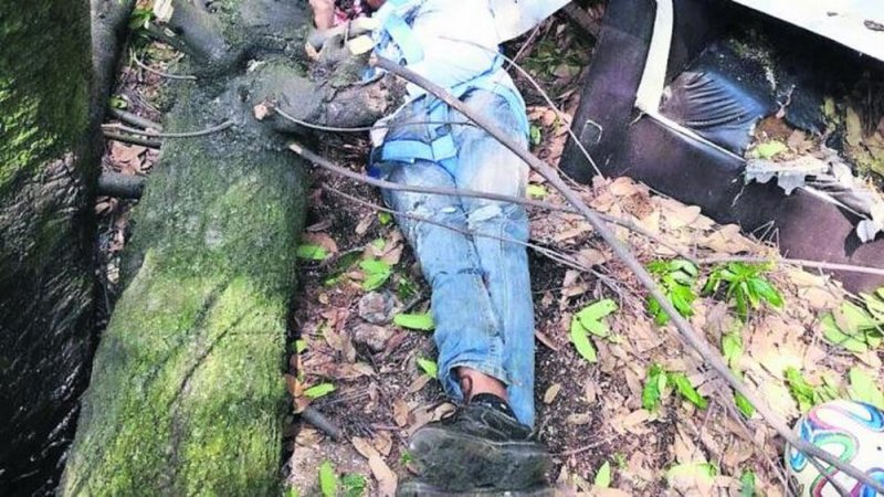 Sujeto fallece aplastado por el tronco del árbol que él mismo cortó en Toluca ¿Karma?