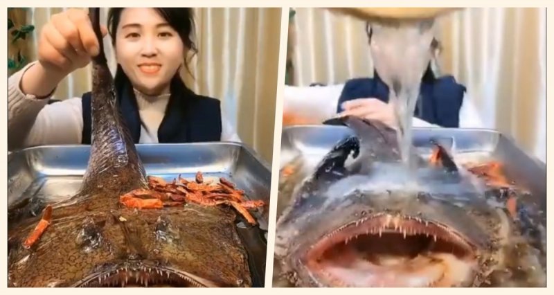 Indigna a usuarios de redes sociales el video de pez angelote cocinado vivoy
