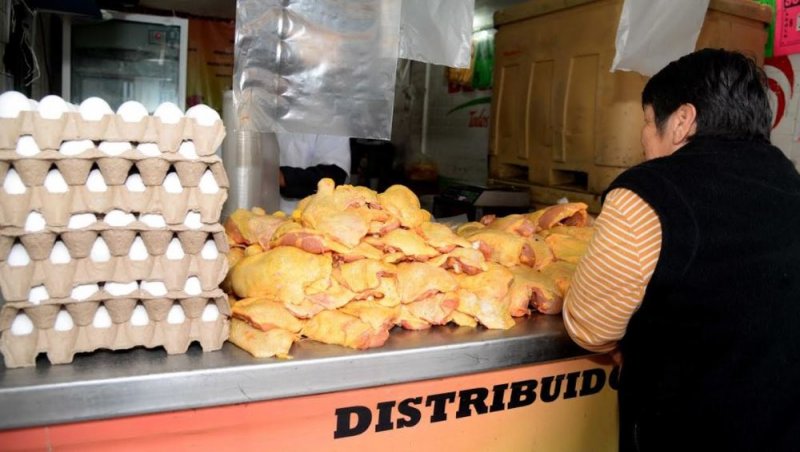 Avicultores garantizan abasto de pollo, huevo y pavo en todos los mercados de México