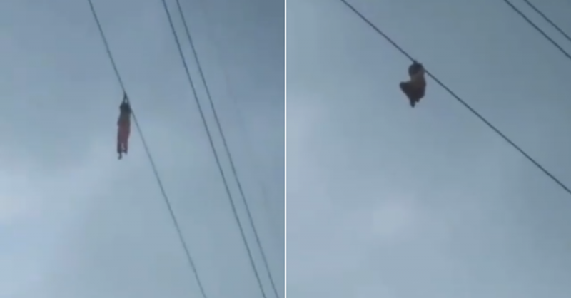 “¡AYUDA!”, niña queda colgando de cable eléctrico a 15 metros de altura (VIDEO)