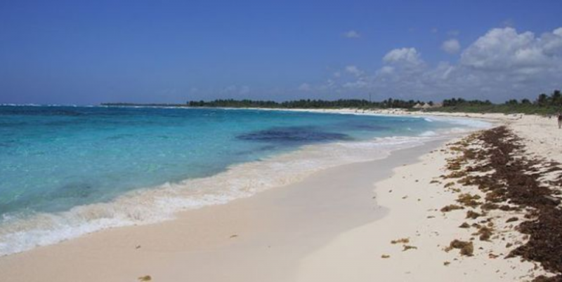 DESTRUYEN santuario de TORTUGAS en TULUM para construir HOTEL