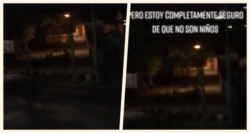 Se vuelve viral Tik Tok que muestra ¿DUENDES? en un PARQUEy