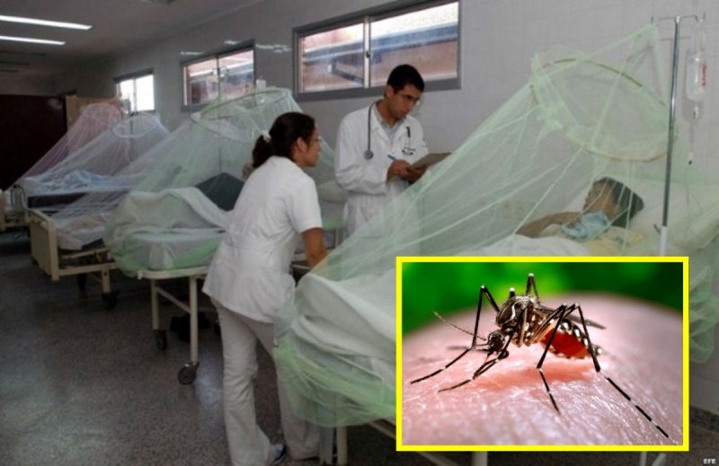 Ante el alza de casos, advierten sobre EPIDEMIA por DENGUE en Jalisco