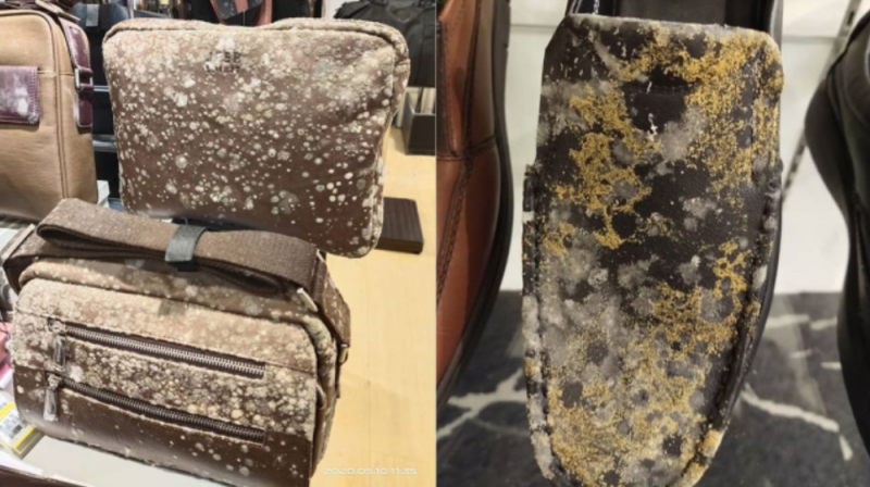 Tienda reabre luego de CUARENTENA y encuentra sus PRODUCTOS llenos de hongos