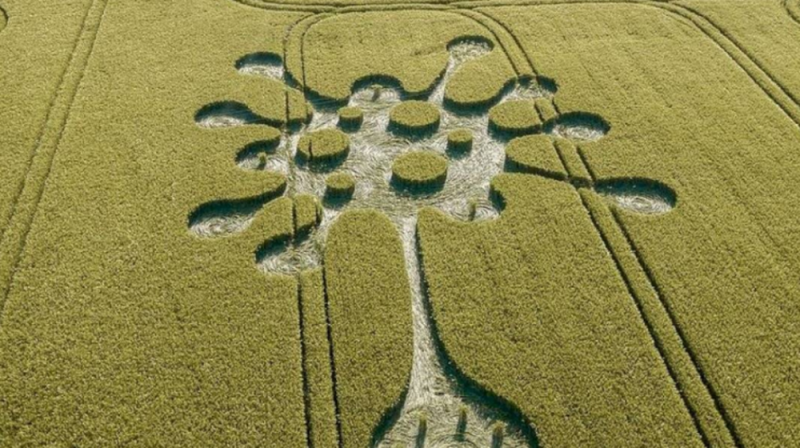 ¿Extraterrestres? Sorprende GIGANTESCA figura COVID en campos de cultivo