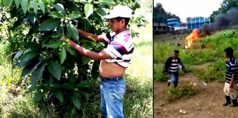 Queman vivo a Domingo Choc por creer que era BRUJO; en realidad era un médico tradicional Maya