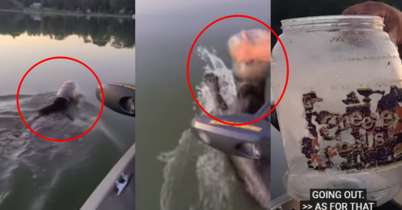 Familia se vuelve viral tras RESCATAR a Oso que nadaba con plástico en la cabezay
