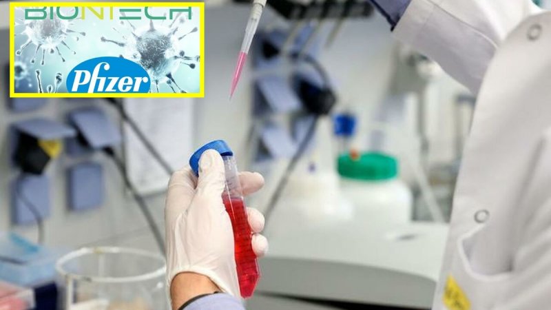 Vacuna BioNTech contra el Covid-19 ESTARÍA LISTA para finales de 2020