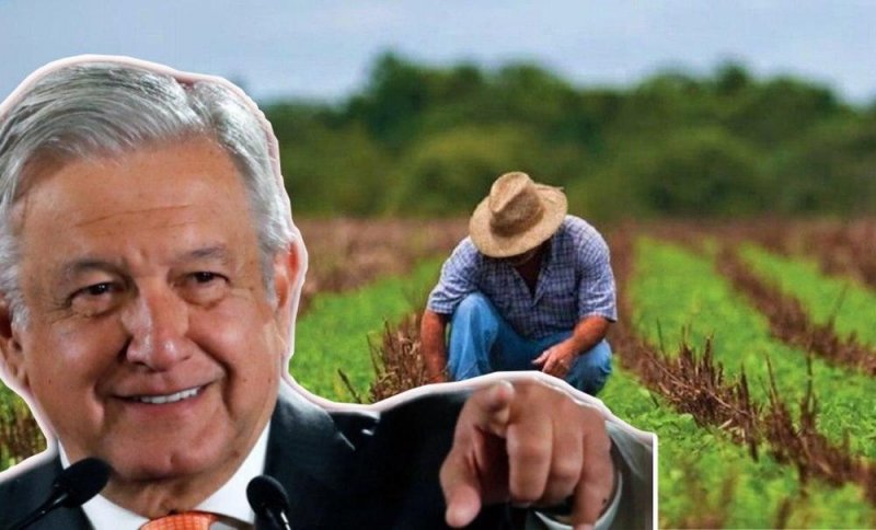 Con AMLO, CAMPESINOS de Sonora han recibido los APOYOS más grandes en la HISTORIA 