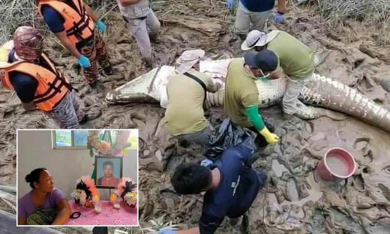 Encuentran DENTRO de cocodrilo restos de niño reportado como perdido