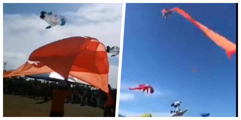 Niña se atora en PAPALOTE GIGANTE y sale volando por los cielos (VIDEO)